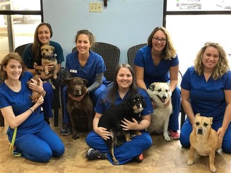 village animal hospital minnetonka|village animal hospital mooresville nc.